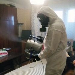 Дезинфекция от клопов в Киришах